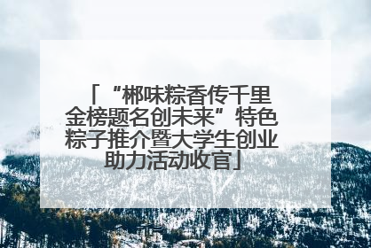 “郴味粽香传千里 金榜题名创未来”特色粽子推介暨大学生创业助力活动收官