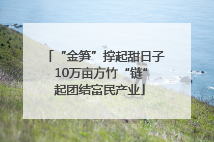 “金笋”撑起甜日子 10万亩方竹“链”起团结富民产业