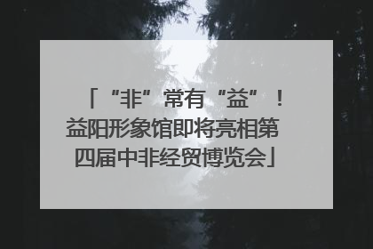 “非”常有“益”！益阳形象馆即将亮相第四届中非经贸博览会