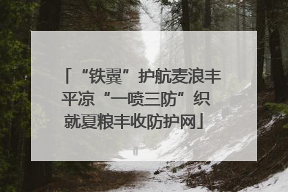 “铁翼”护航麦浪丰 平凉“一喷三防”织就夏粮丰收防护网