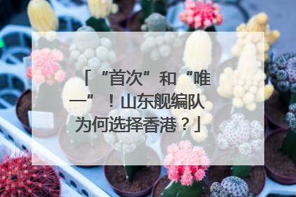 “首次”和“唯一”！山东舰编队为何选择香港？