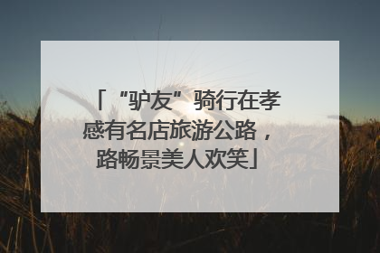“驴友”骑行在孝感有名店旅游公路，路畅景美人欢笑