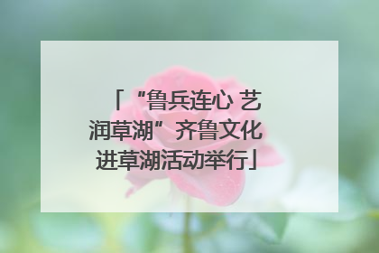 “鲁兵连心 艺润草湖”齐鲁文化进草湖活动举行