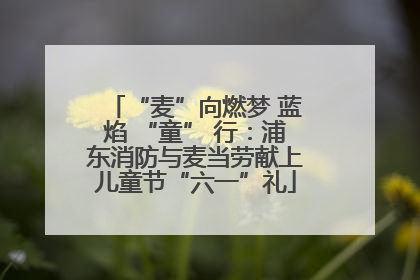 “麦”向燃梦 蓝焰 “童” 行：浦东消防与麦当劳献上儿童节“六一”礼