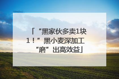 “黑家伙多卖1块1！”黑小麦深加工“磨”出高效益