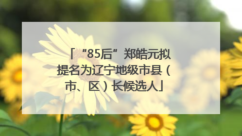“85后”郑皓元拟提名为辽宁地级市县（市、区）长候选人
