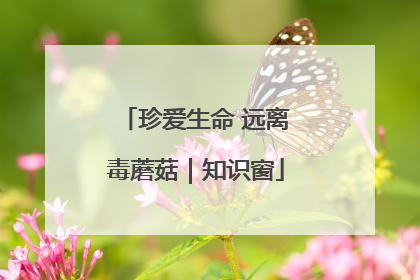 珍爱生命 远离毒蘑菇｜知识窗