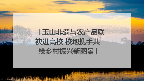 玉山非遗与农产品联袂进高校 校地携手共绘乡村振兴新图景