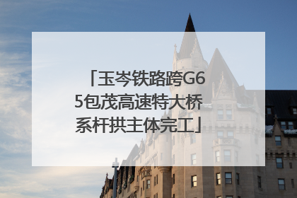 玉岑铁路跨G65包茂高速特大桥系杆拱主体完工