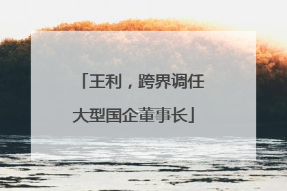王利，跨界调任大型国企董事长