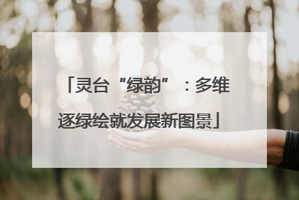 灵台“绿韵”：多维逐绿绘就发展新图景