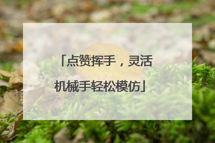点赞挥手，灵活机械手轻松模仿