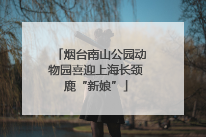 烟台南山公园动物园喜迎上海长颈鹿“新娘”