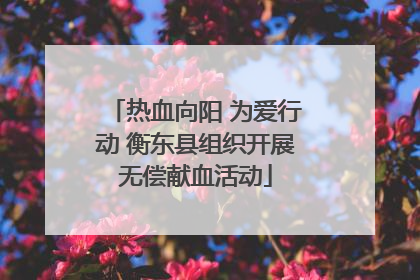 热血向阳 为爱行动 衡东县组织开展无偿献血活动