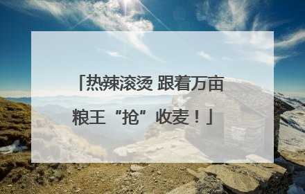 热辣滚烫 跟着万亩粮王“抢”收麦！