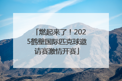 燃起来了！2025鹤壁国际匹克球邀请赛激情开赛