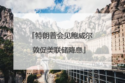 特朗普会见鲍威尔 敦促美联储降息