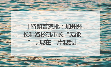 特朗普怒批：加州州长和洛杉矶市长“无能”，现在一片混乱