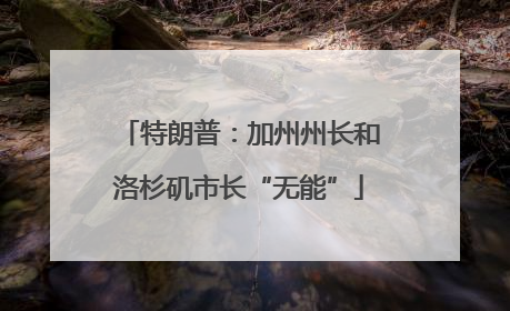 特朗普：加州州长和洛杉矶市长“无能”