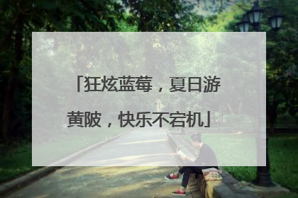 狂炫蓝莓，夏日游黄陂，快乐不宕机