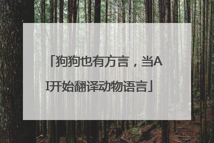 狗狗也有方言，当AI开始翻译动物语言