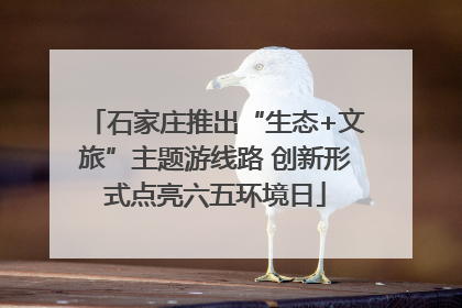 石家庄推出“生态+文旅”主题游线路 创新形式点亮六五环境日