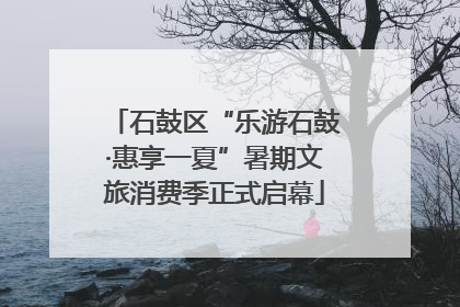石鼓区“乐游石鼓·惠享一夏”暑期文旅消费季正式启幕