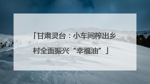 甘肃灵台：小车间榨出乡村全面振兴“幸福油”