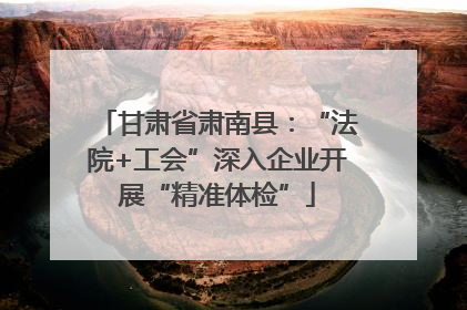 甘肃省肃南县：“法院+工会”深入企业开展“精准体检”