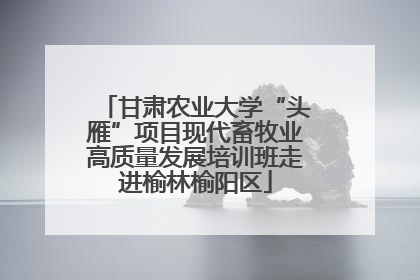 甘肃农业大学“头雁”项目现代畜牧业高质量发展培训班走进榆林榆阳区