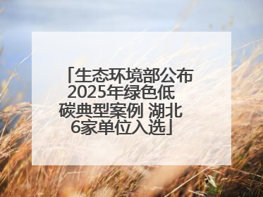 生态环境部公布2025年绿色低碳典型案例 湖北6家单位入选