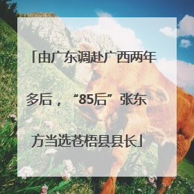 由广东调赴广西两年多后，“85后”张东方当选苍梧县县长