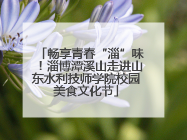 畅享青春“淄”味！淄博潭溪山走进山东水利技师学院校园美食文化节