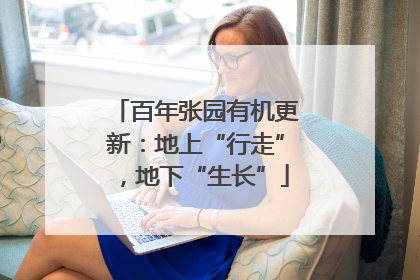 百年张园有机更新：地上“行走”，地下“生长”