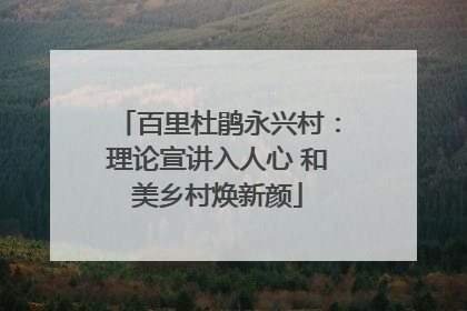 百里杜鹃永兴村：理论宣讲入人心 和美乡村焕新颜