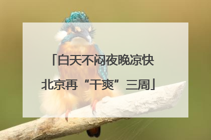 白天不闷夜晚凉快 北京再“干爽”三周
