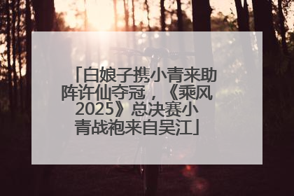 白娘子携小青来助阵许仙夺冠，《乘风2025》总决赛小青战袍来自吴江