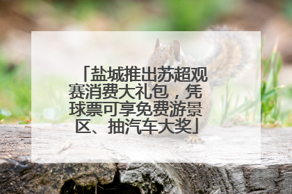 盐城推出苏超观赛消费大礼包，凭球票可享免费游景区、抽汽车大奖