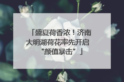 盛夏荷香浓！济南大明湖荷花率先开启“颜值暴击”