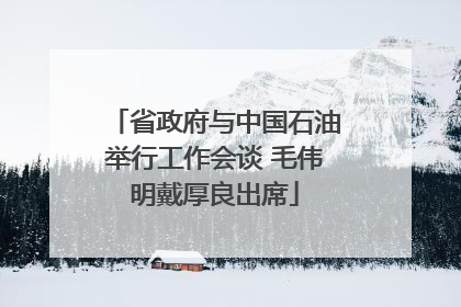 省政府与中国石油举行工作会谈 毛伟明戴厚良出席