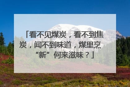 看不见煤炭，看不到焦炭，闻不到味道，煤里烹“新”何来滋味？
