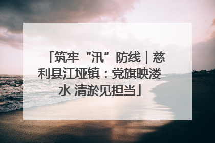 筑牢“汛”防线｜慈利县江垭镇：党旗映溇水 清淤见担当