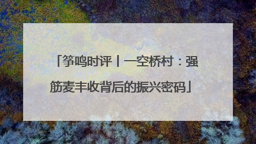 筝鸣时评丨一空桥村：强筋麦丰收背后的振兴密码