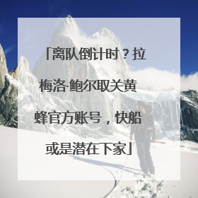 离队倒计时？拉梅洛·鲍尔取关黄蜂官方账号，快船或是潜在下家