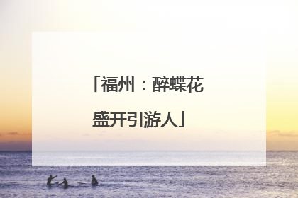 福州：醉蝶花盛开引游人