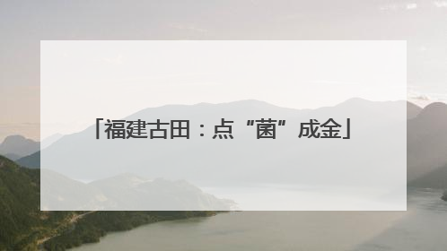 福建古田：点“菌”成金