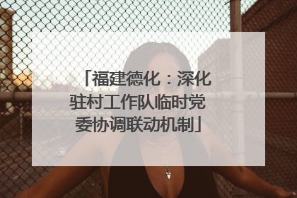 福建德化：深化驻村工作队临时党委协调联动机制