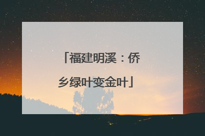 福建明溪：侨乡绿叶变金叶