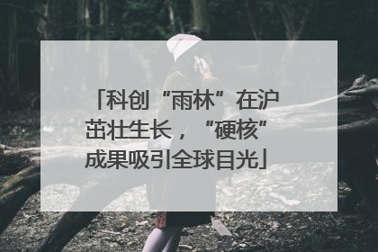 科创“雨林”在沪茁壮生长，“硬核”成果吸引全球目光