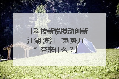 科技新锐搅动创新江湖 滨江“新势力”带来什么？